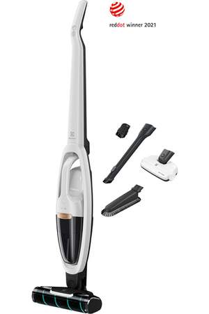 Aspirateur balai Electrolux WQ81-Palrg