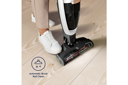 Aspirateur balai Electrolux WQ81-Palrg