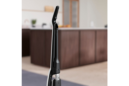 Aspirateur balai Electrolux WQ81-Palrg